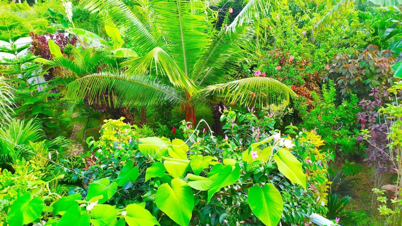 Villa Modara Tangalle Eksteriør billede