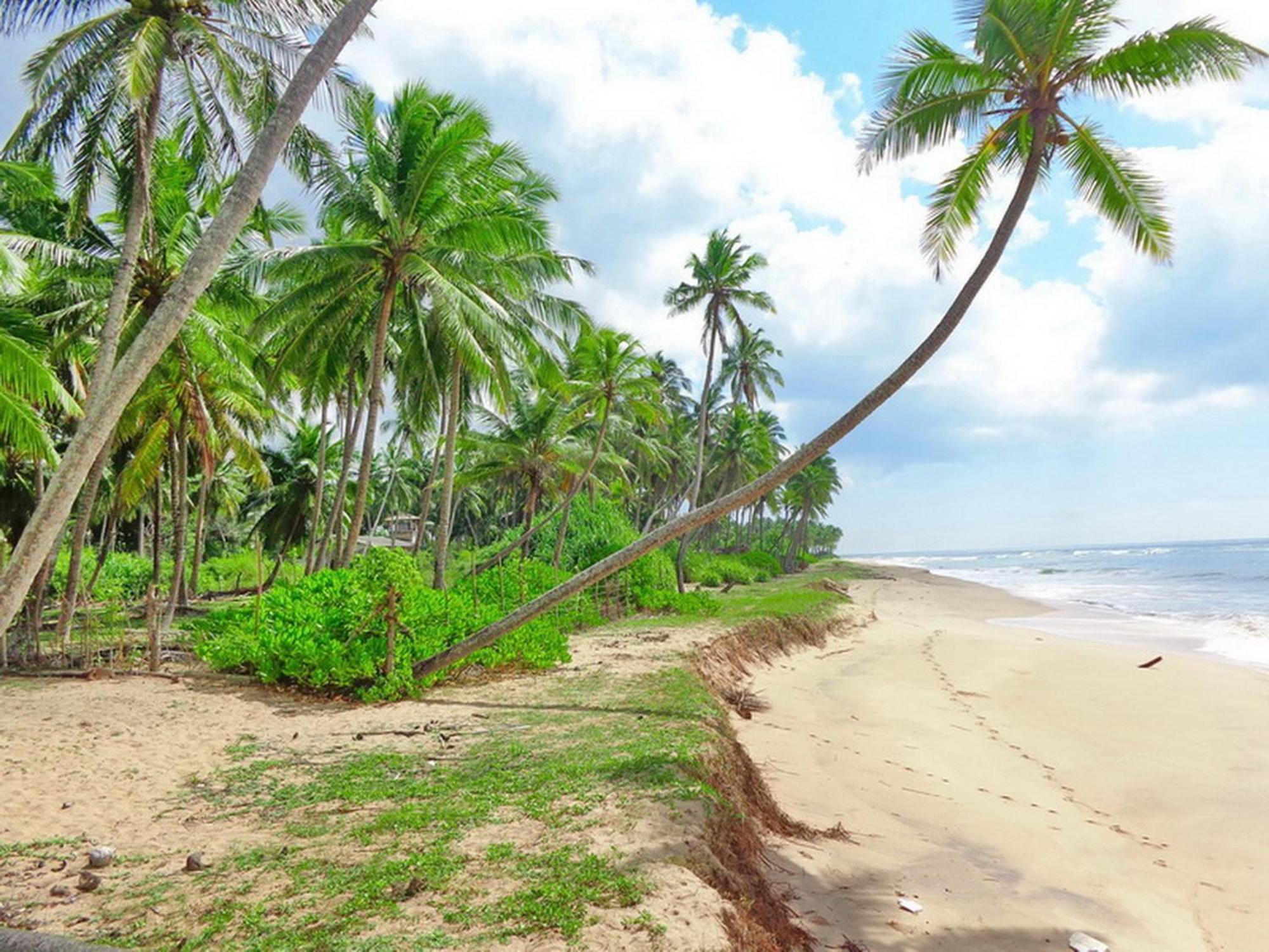 Villa Modara Tangalle Eksteriør billede